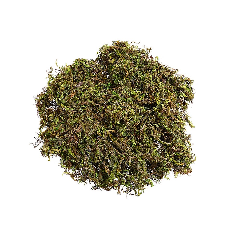 3 Bags Fresh Dried Natural Moss Decorative Moss for Dressing Potted Plants