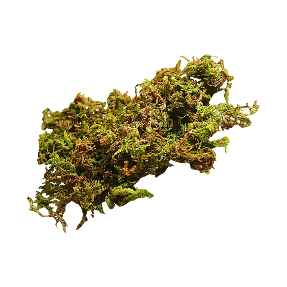 3 Bags Fresh Dried Natural Moss Decorative Moss for Dressing Potted Plants