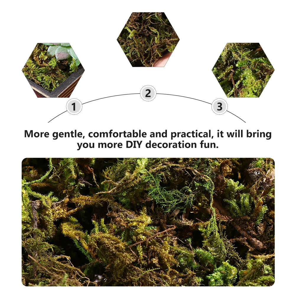 3 Bags Fresh Dried Natural Moss Decorative Moss for Dressing Potted Plants