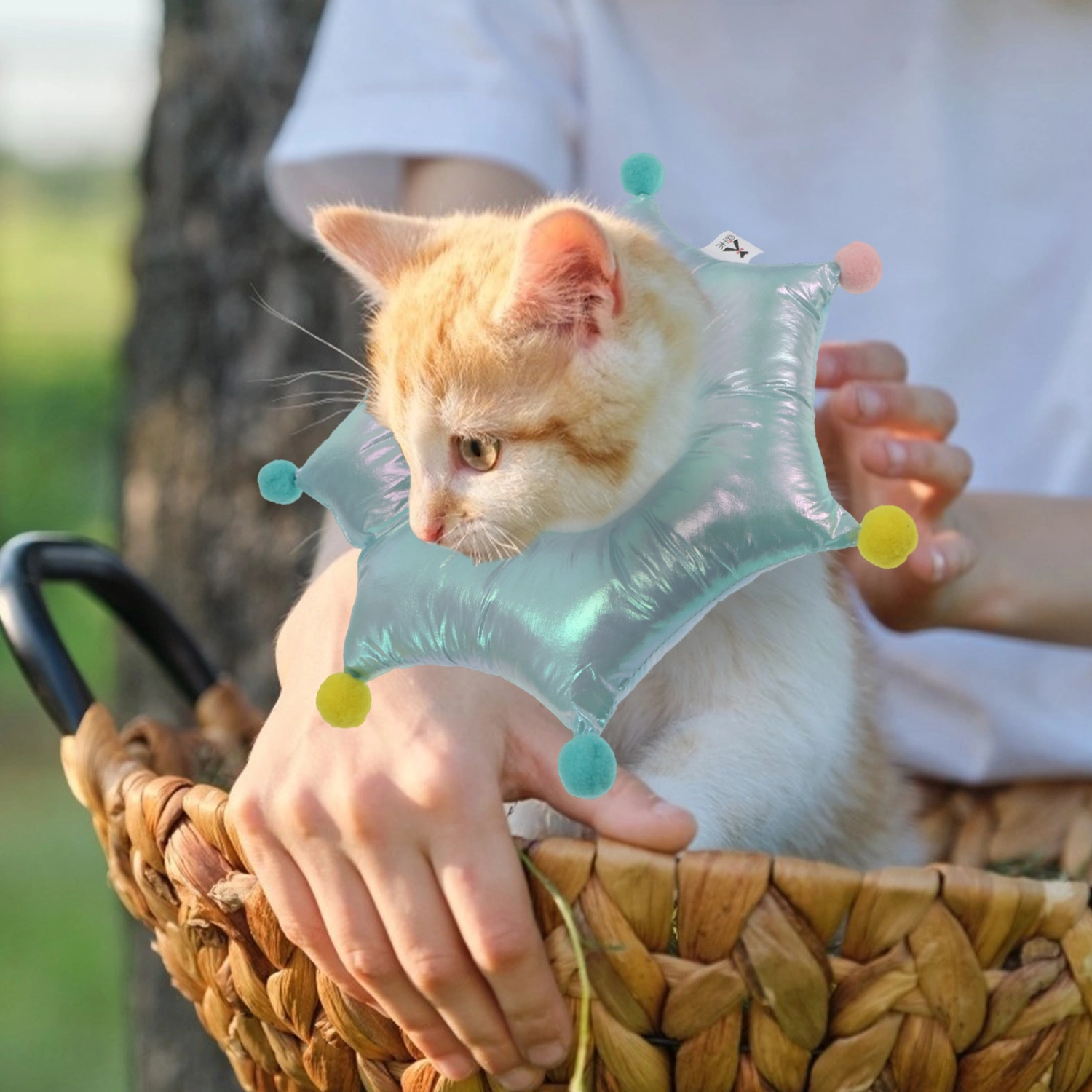 1Pc Pet Protective Collar Pet Neck Circle Cat Dog Recovery Collar for Pet