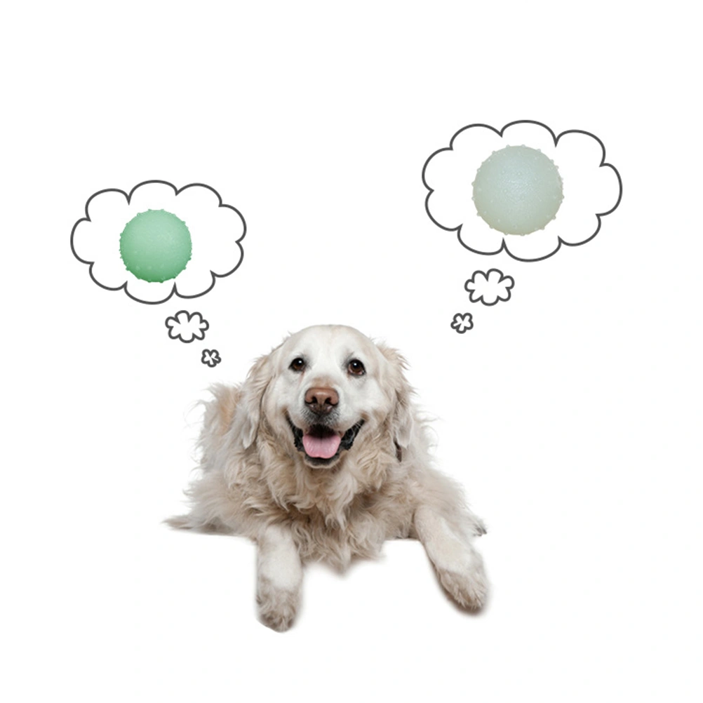 6.5cm TPR Pet Elastic Ball Luminous Training Ball Biting Resistance Toy Pet Supplies for Puppy Cat