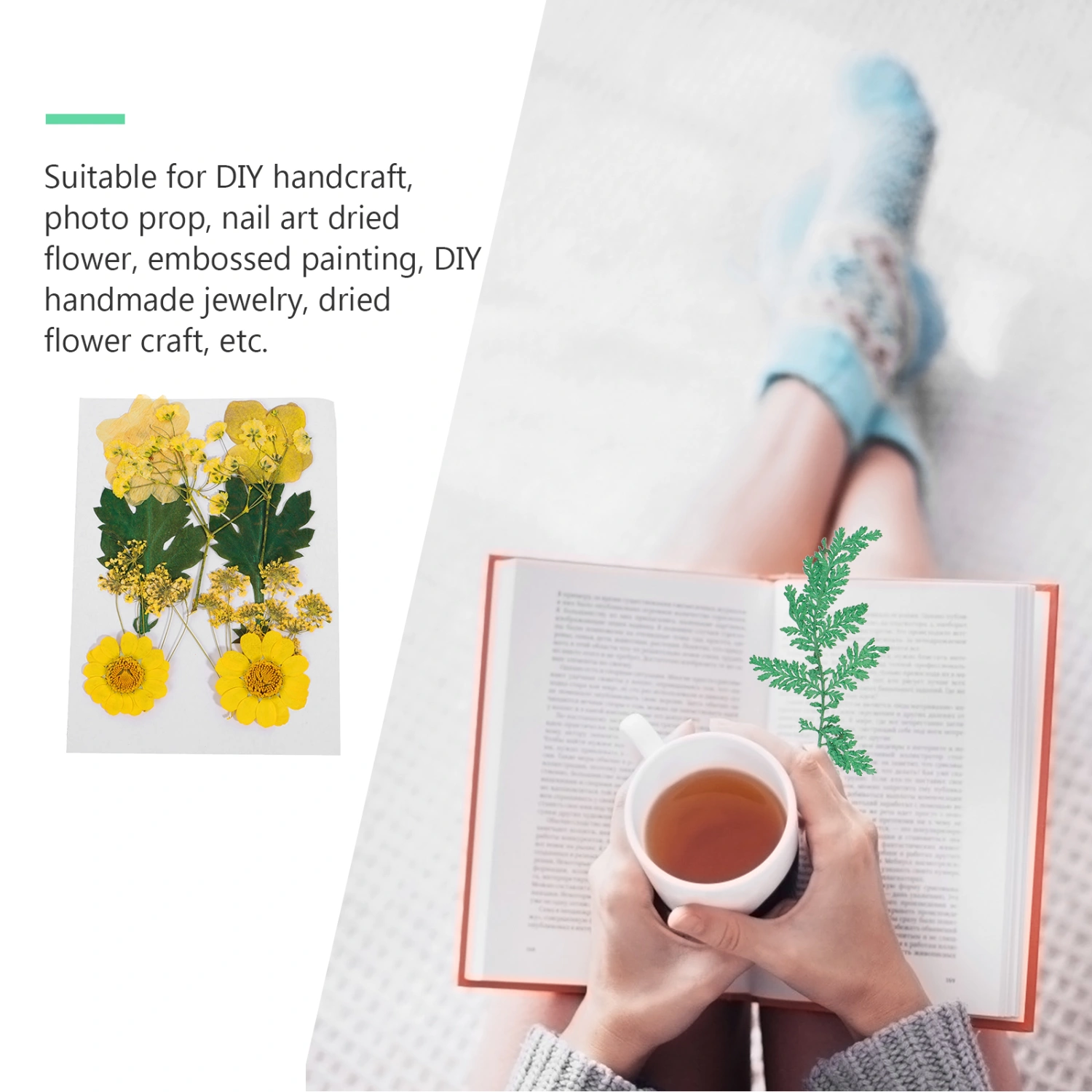 3 Bags of Dried Pressed Flowers DIY Natural Flowers Decoration Bookmark Material