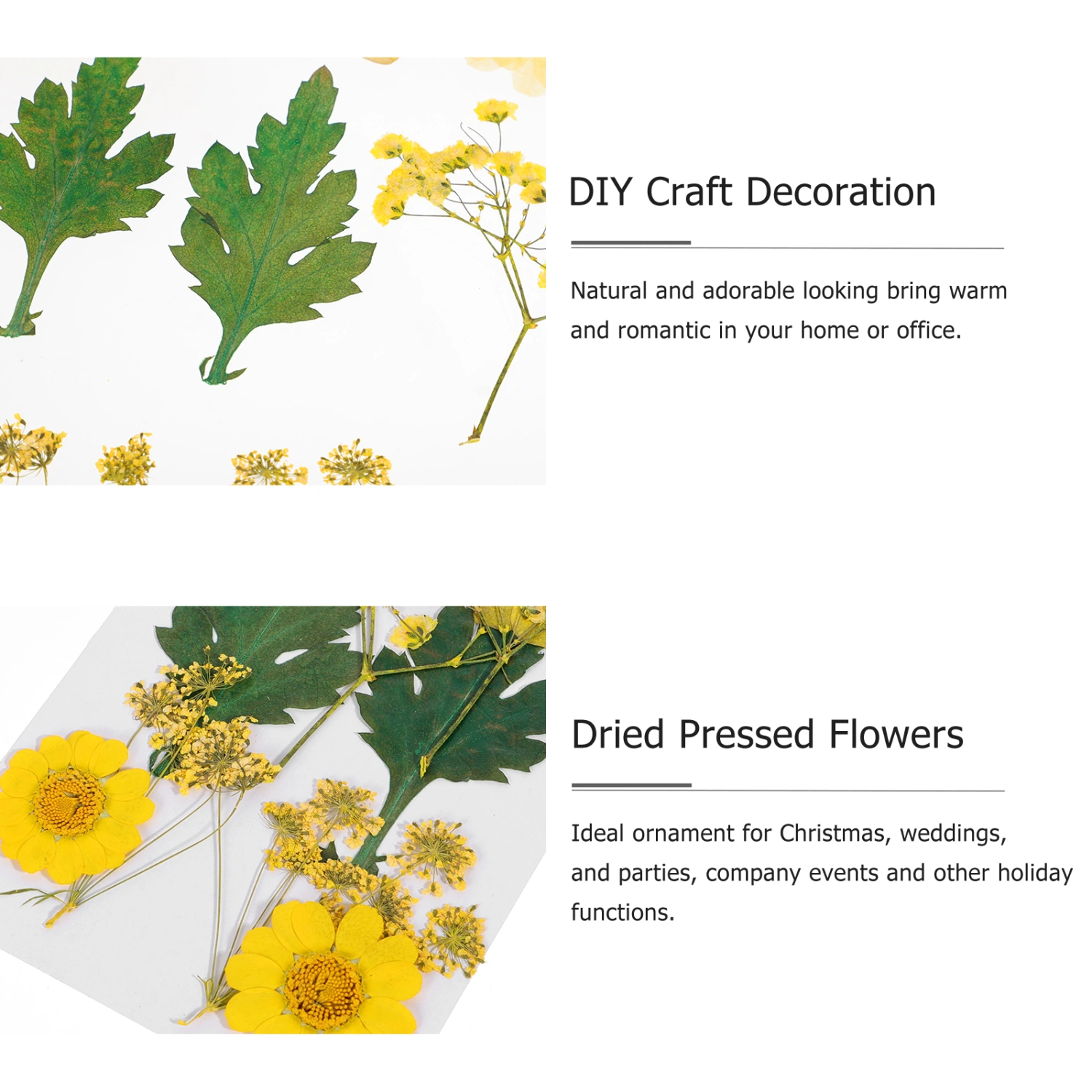 3 Bags of Dried Pressed Flowers DIY Natural Flowers Decoration Bookmark Material