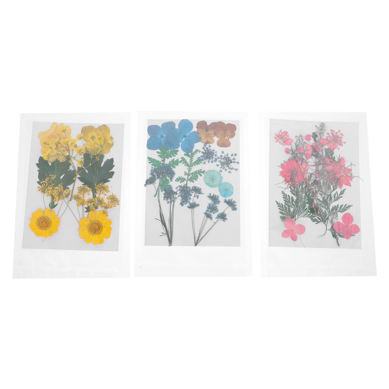 3 Bags of Dried Pressed Flowers DIY Natural Flowers Decoration Bookmark Material