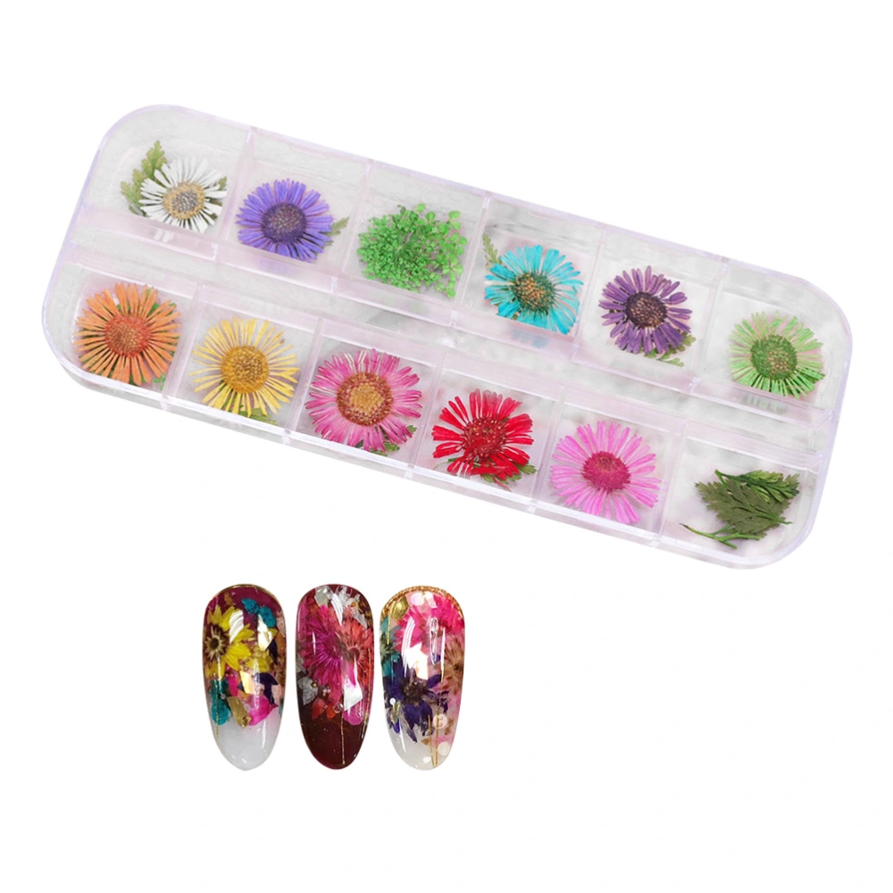 Applique Chrysanthemum Leaves Design Nail Art Sticker 3D Dried Folwer Nail Tip Decal Manicure Decoration for Women Girl