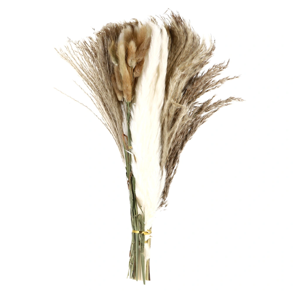 1 Set Dried Pampas Grass Decor DIY Pompous Grass Bouquet Floral Decor Dried Flowers for Vase