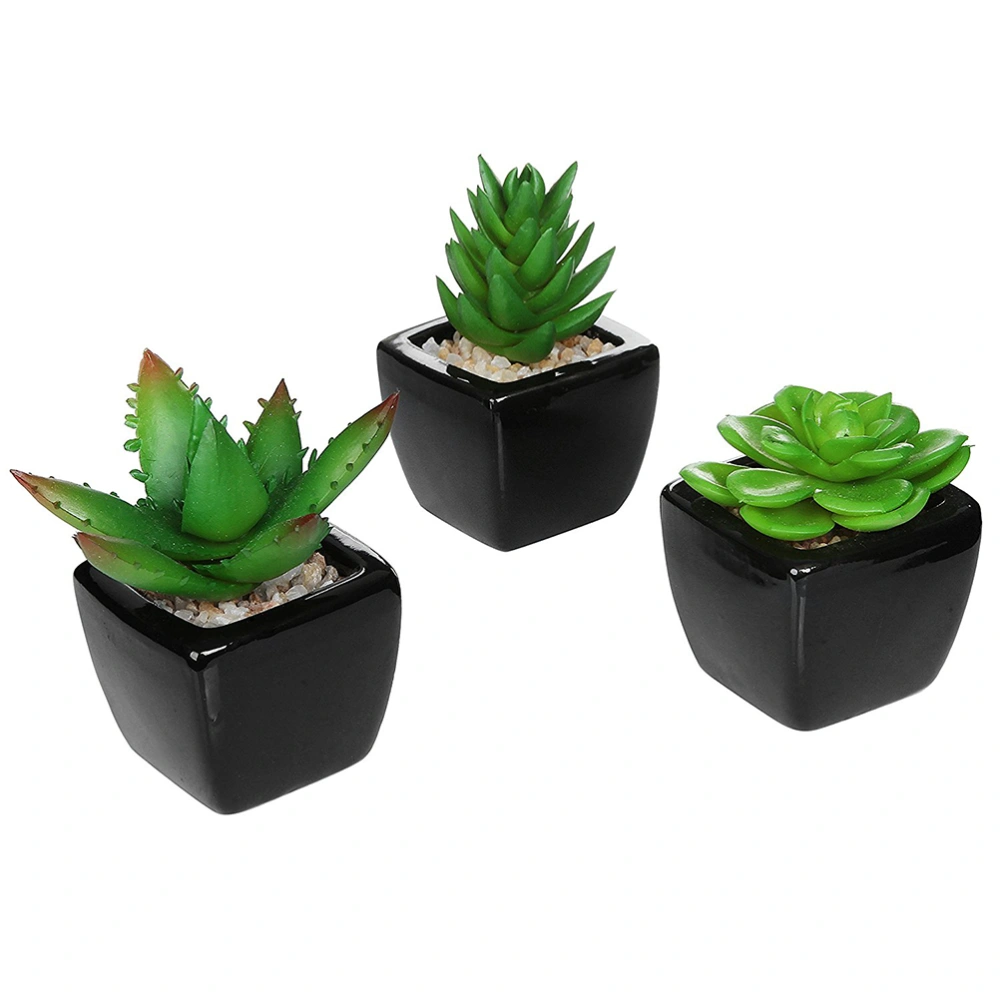 3pcs Square Black Ceramic Artificial Succulent Planter Mini Faux Potted Plants