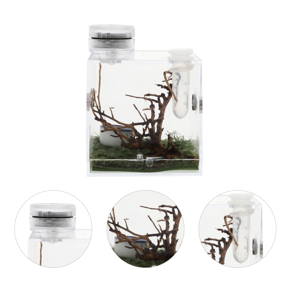 Spider Habitat Box High Transparent Jumping Spider Cage Storage Case with Lamp