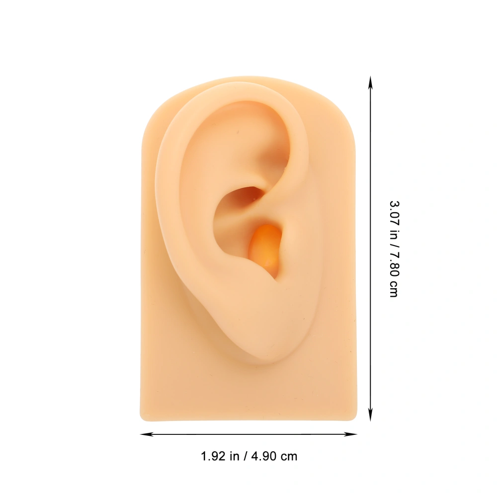 Silicone Simulated Ear Model Ear Piercing Model Practice Teaching Prop