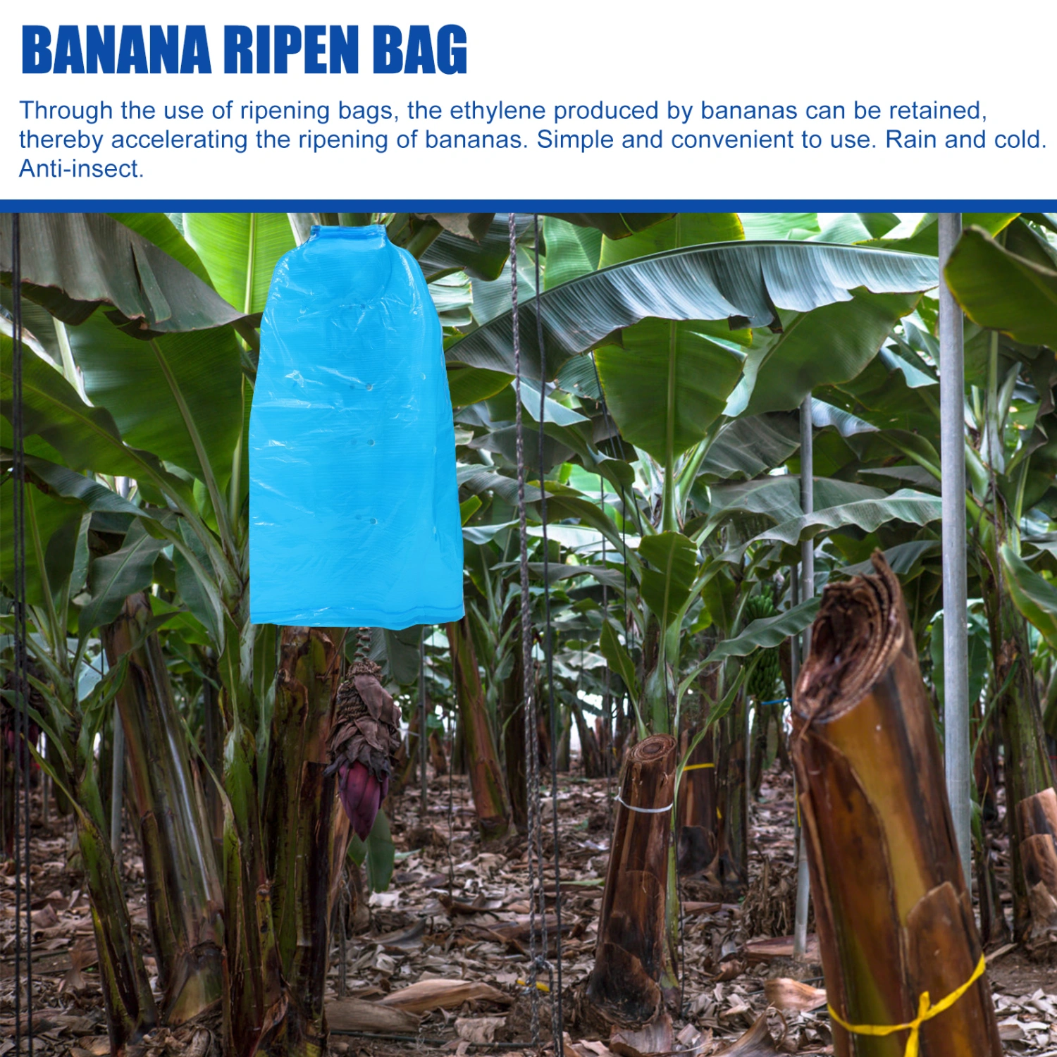 5pcs Banana Protective Covers Fruit Ripening Covers Winter Plant Growing Bags