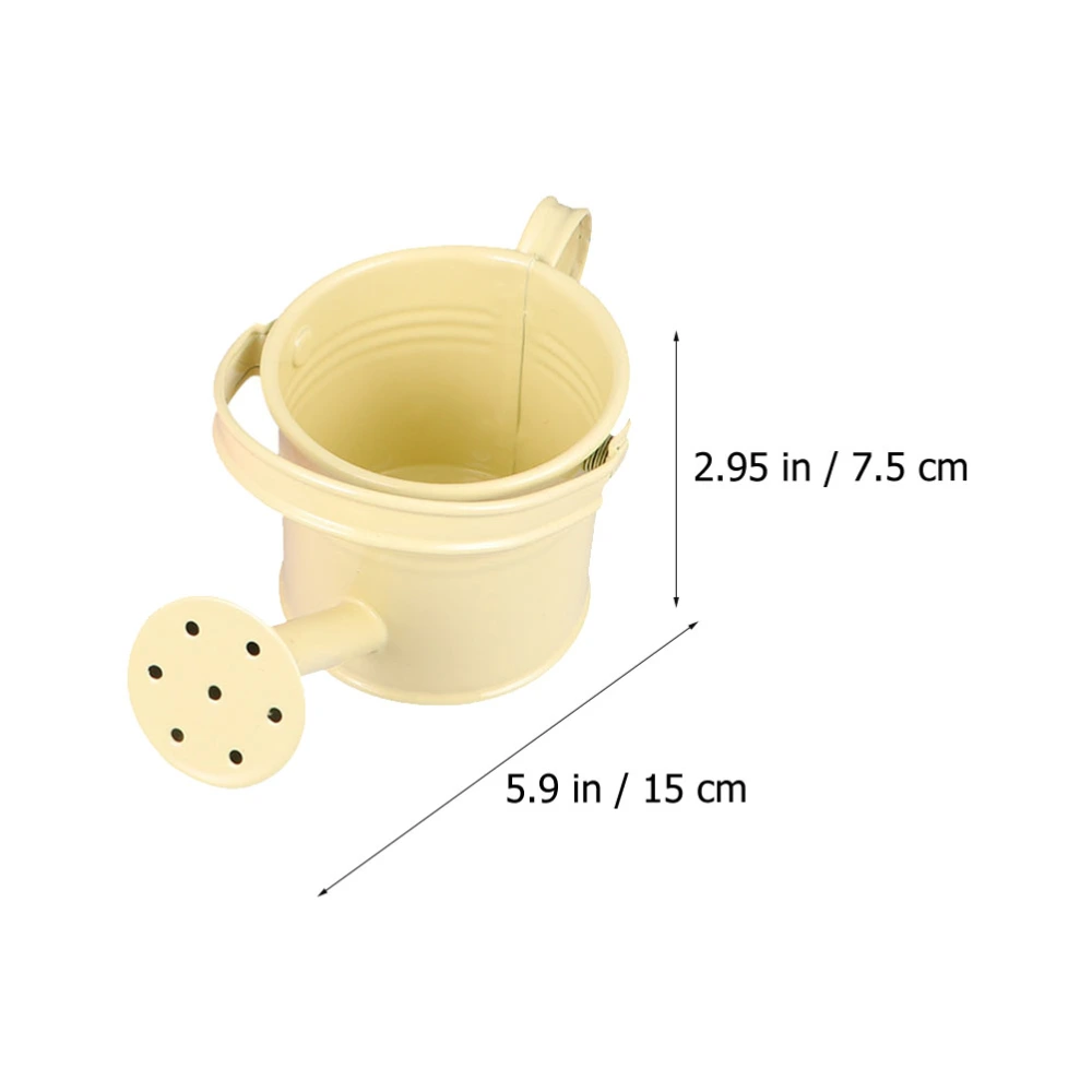 2pcs Creative Watering Tin Simple Watering Pot Durable Iron Sprinkling Kettle