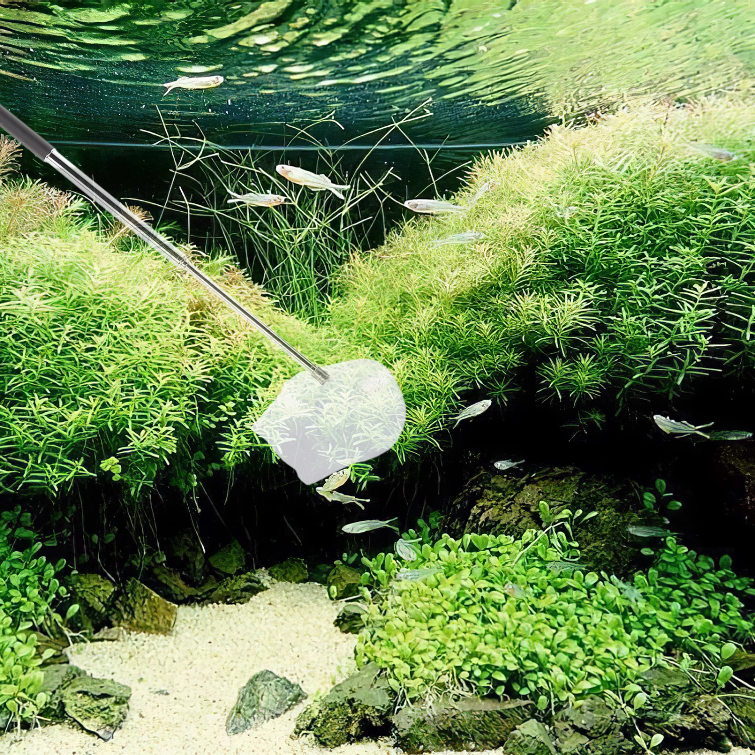 Fish Net Shrimp Net Fish Tank Net Aquarium Net Telescopic Small Fish Net