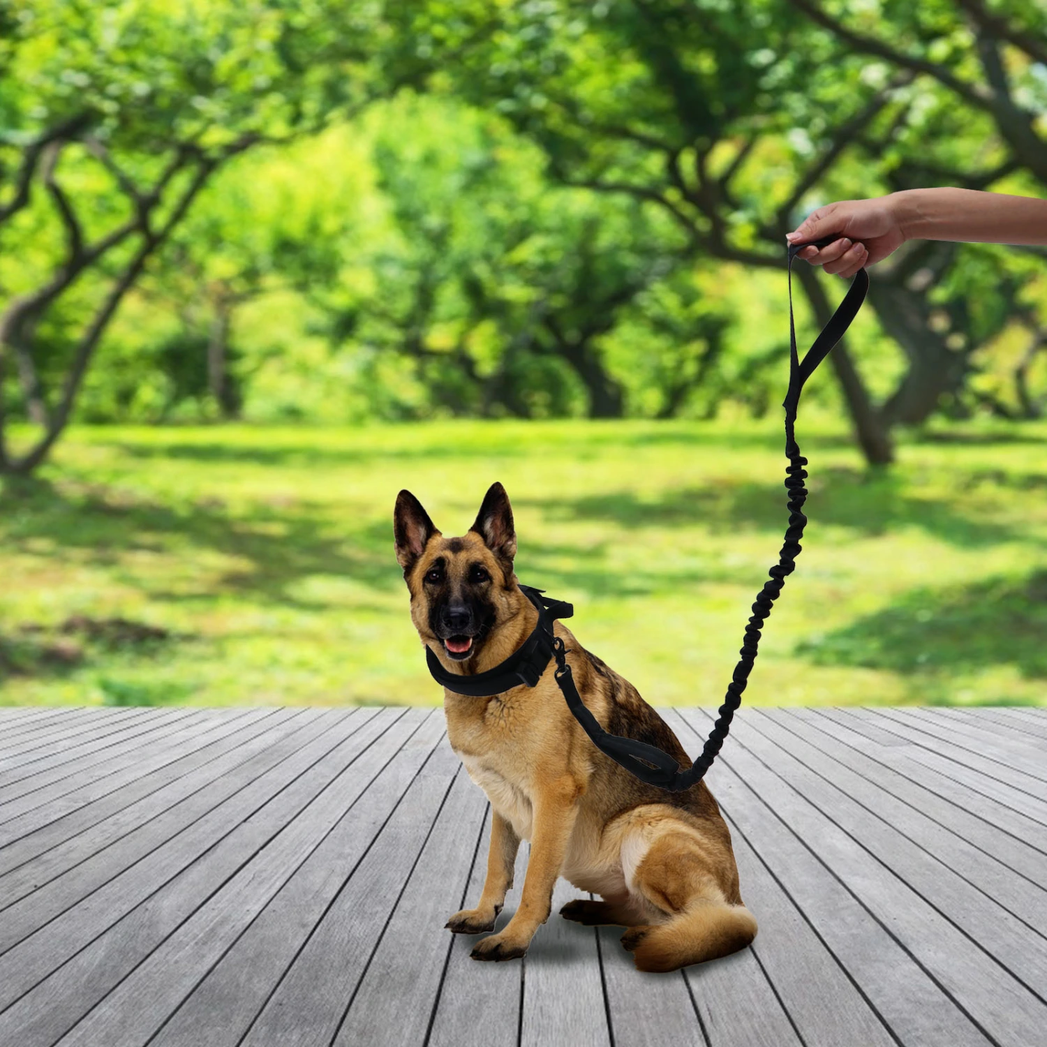 1 Set Military Dog Collar Adjustable Nylon Dog Collar Dog Training Collar