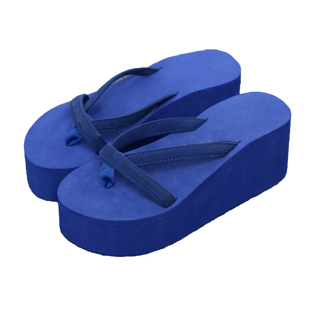 Summer Beach Wedge Flops Women Sandals Flops Slippers Size 39 (Blue)