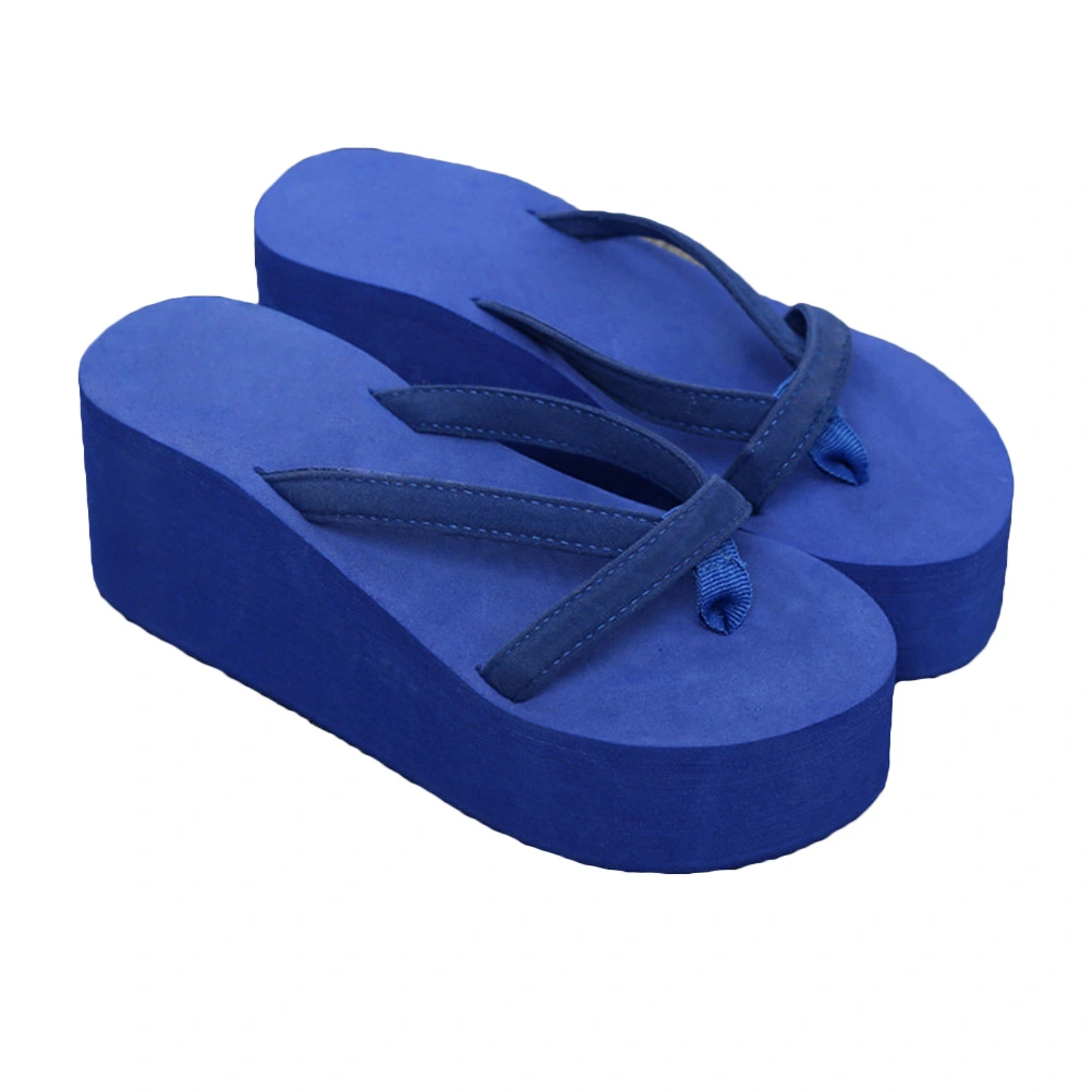 Summer Beach Wedge Flops Women Sandals Flops Slippers Size 39 (Blue)