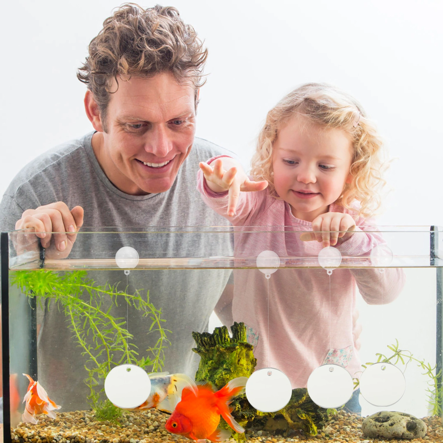 4Pcs Professional Fish Training Mirrors Betta Fish Mirrors Fish Tank Mirrors Aquarium Accessory