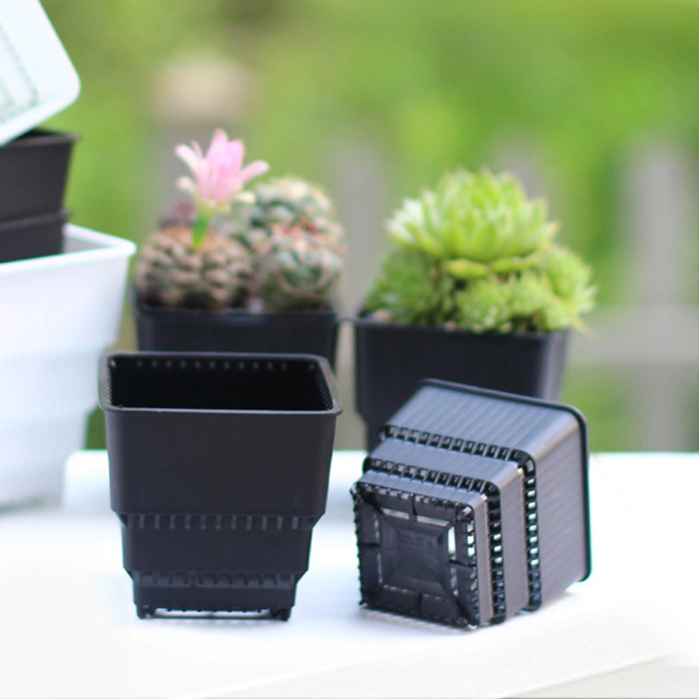 8pcs Root Control Flowerpots Resin Square Planters Mini Plastic Succulent Pot for Cactus Bonsai (Black)