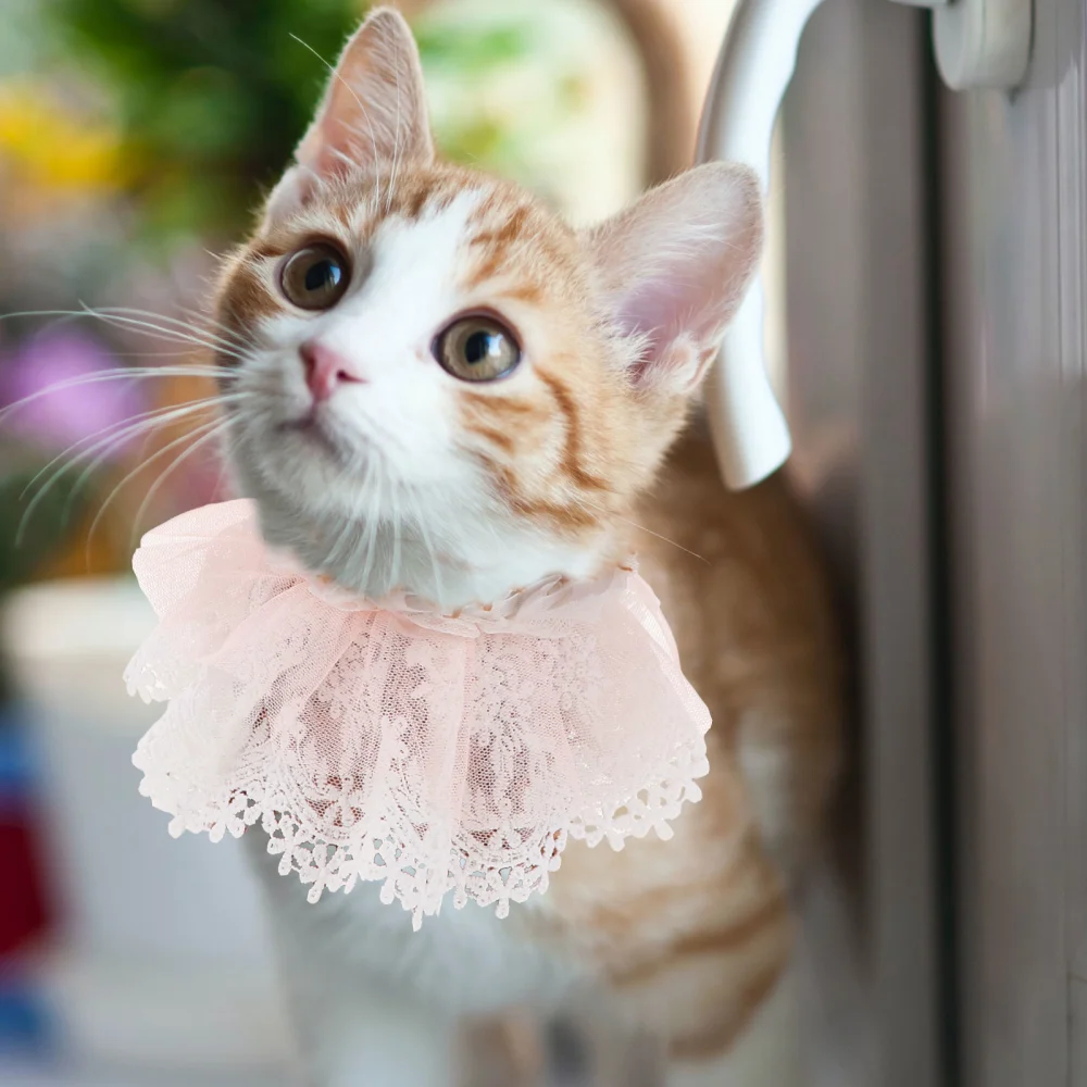 Pet Costume Cat Lace Apparel Scarf Dress Up Lace with Pearls Bibs Collar