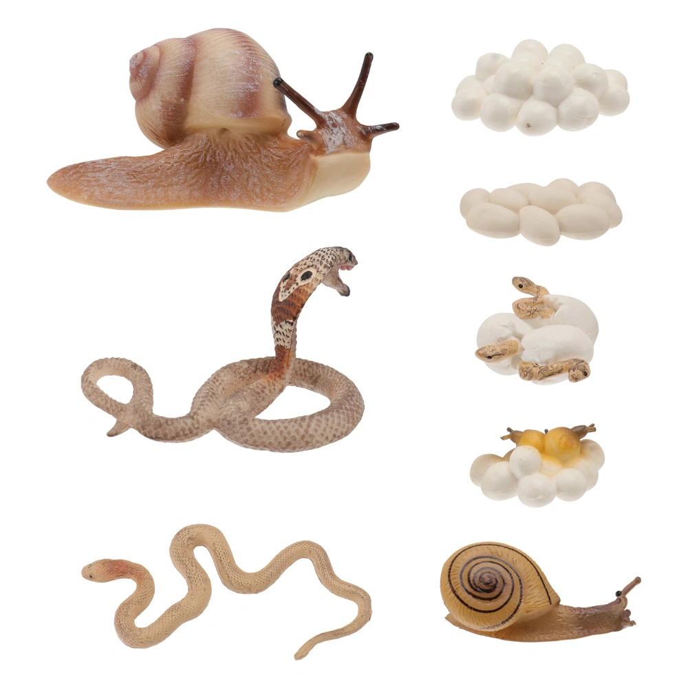2 Sets Simulated Animal Growth Cycle Toys Early Educational Animal Models