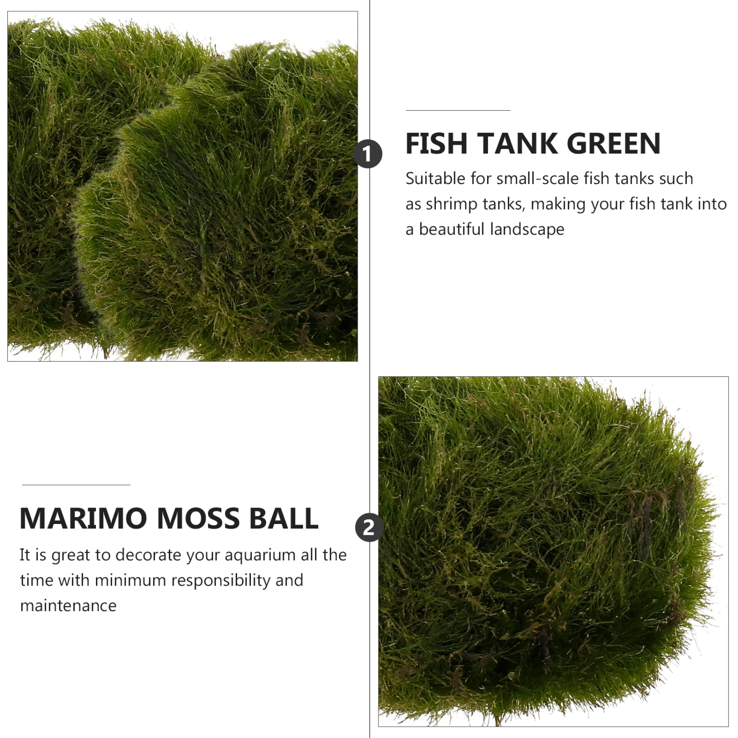 3PCS 2cm Marimo Moss Ball Aquatic Plants Live Decoration for Fish Tank Aquarium Landscape (Green)