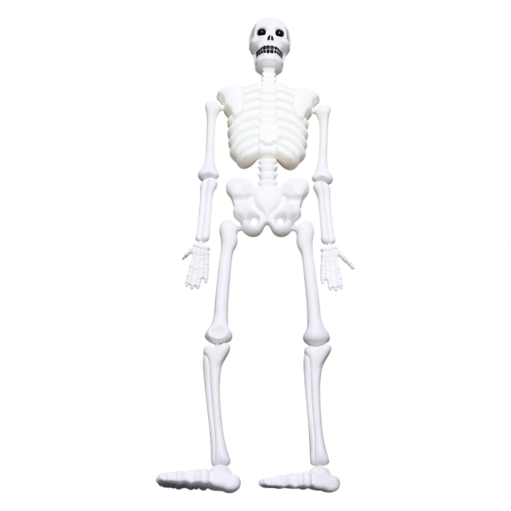 1Pc Halloween Skeleton Full Body Halloween Skeleton with Movable Joints Skull