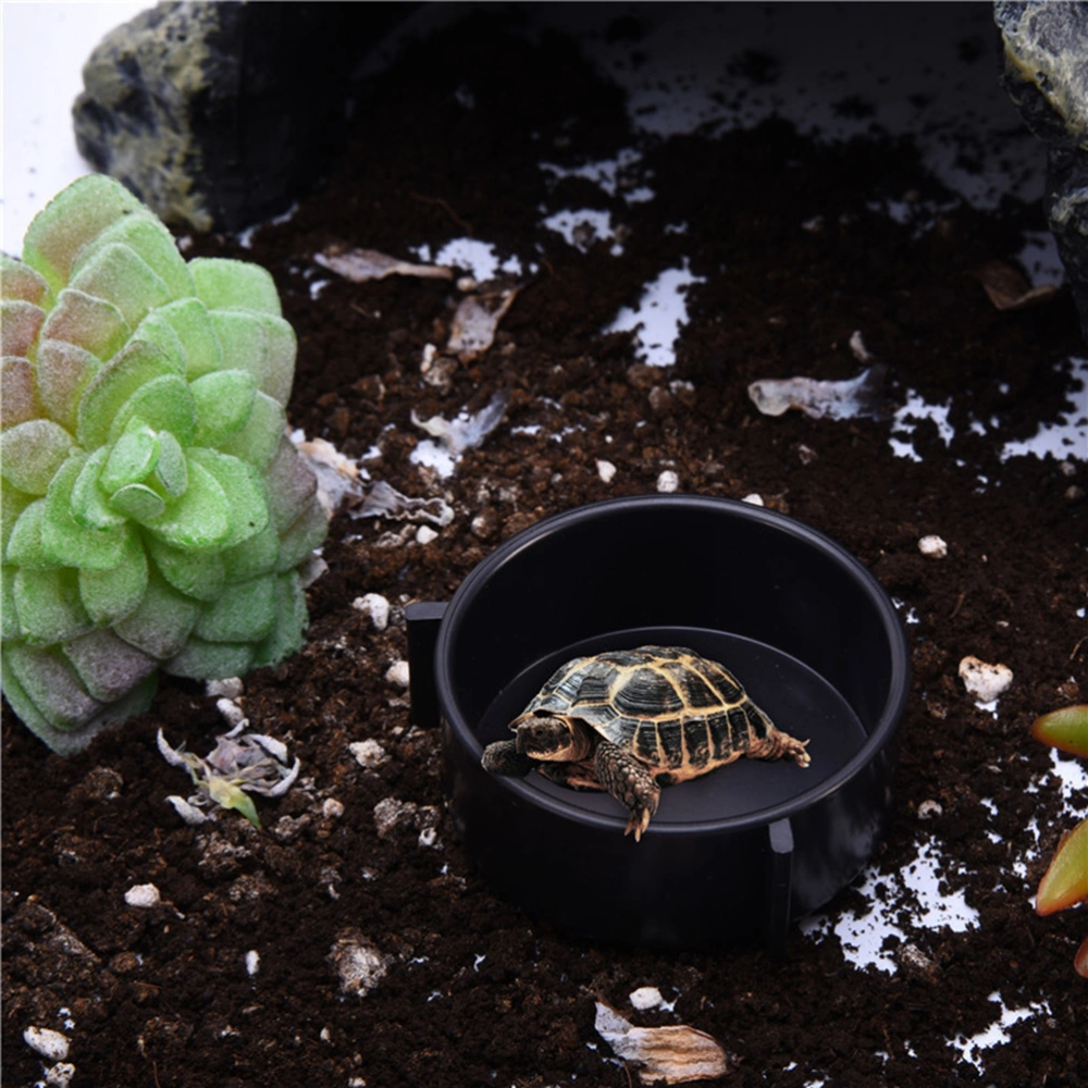 1pc Reptiles Feeding Bowl Plastic Thickening Feeding Container for Tortoises Spiders Large Size (Black)