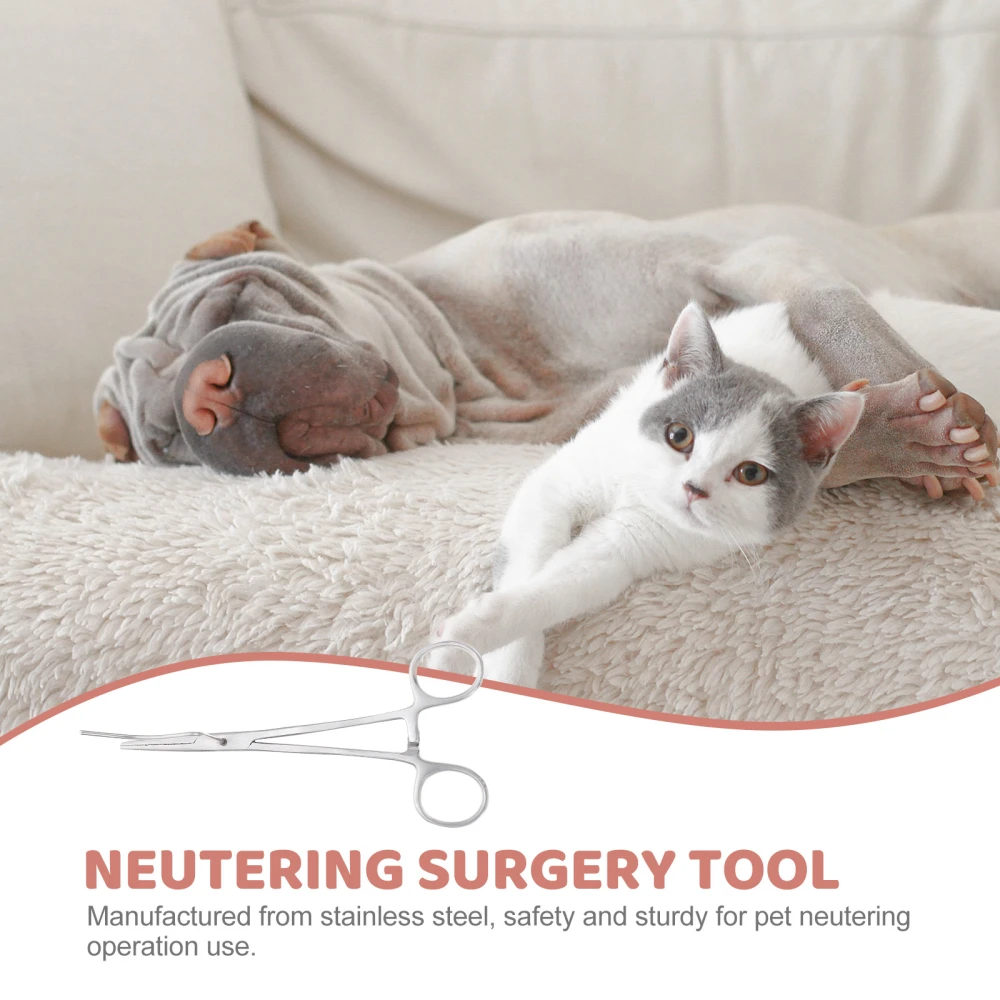 Pet Neutering Tool Dog Neutering Forcep Dog Neuter Ligation Tool Neutering Surgery Tool