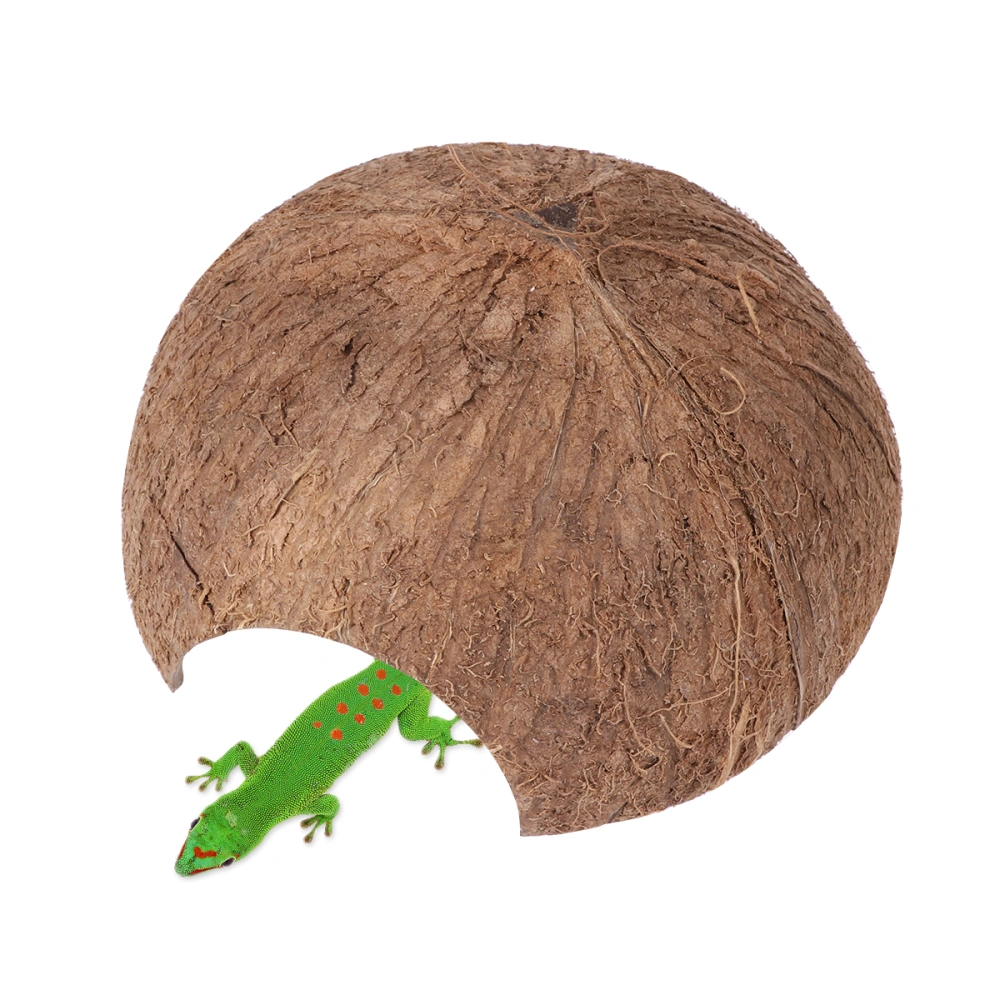 Natural Coco Nut Spacious Coconut Tunnel Spider Snake and Lizard Hideout (No Hole)