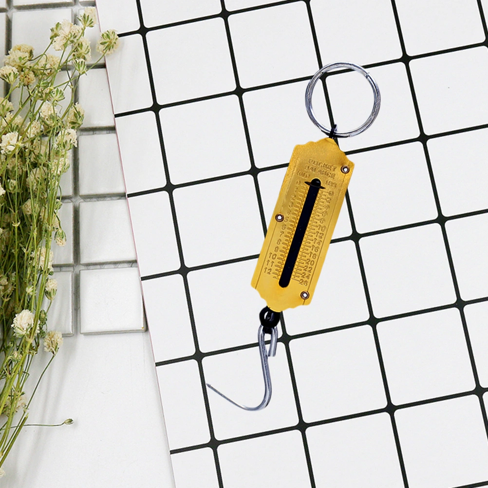 25KG Portable Weighing Vertical Spring Machine Selling Vegetables Scale Mechanical Hanging Hook Scales(Golden)