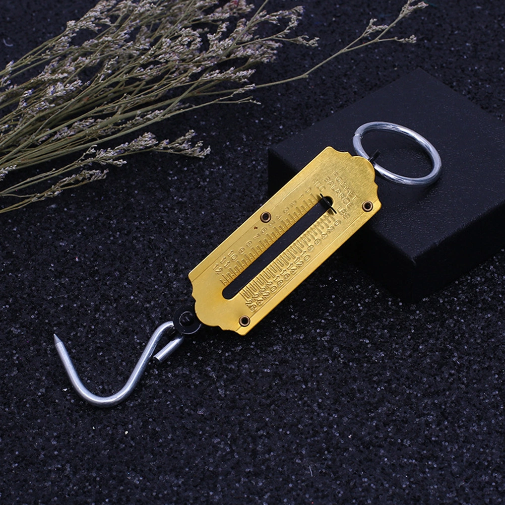 25KG Portable Weighing Vertical Spring Machine Selling Vegetables Scale Mechanical Hanging Hook Scales(Golden)