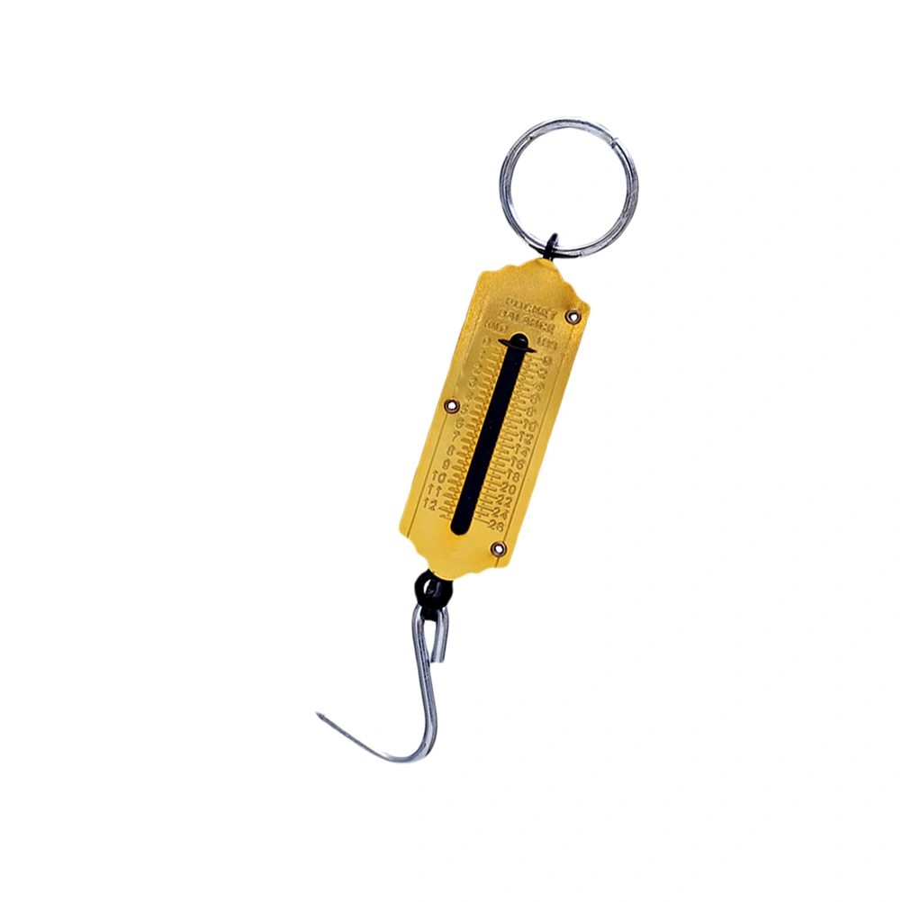 25KG Portable Weighing Vertical Spring Machine Selling Vegetables Scale Mechanical Hanging Hook Scales(Golden)
