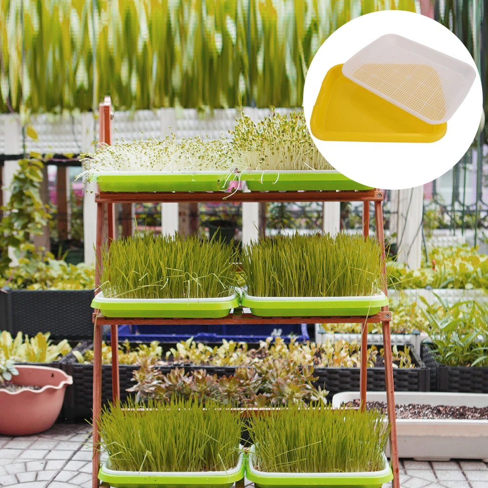 2pcs Plants Nursery Tray Wheatgrass Grower Planting Vegetable Starter Plate