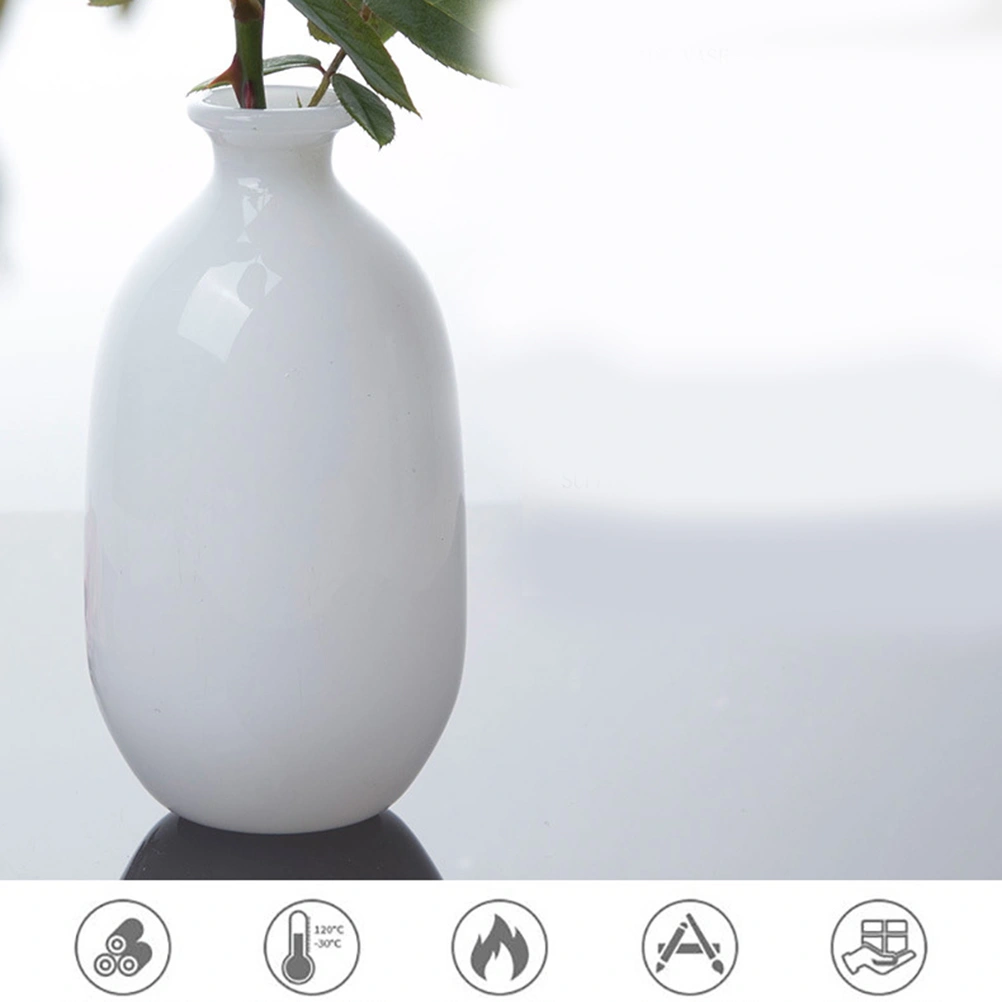 1Pc Glass Vase Bottle Shape Vase Water Plant Vase Glass Vase for Water Plating (White)