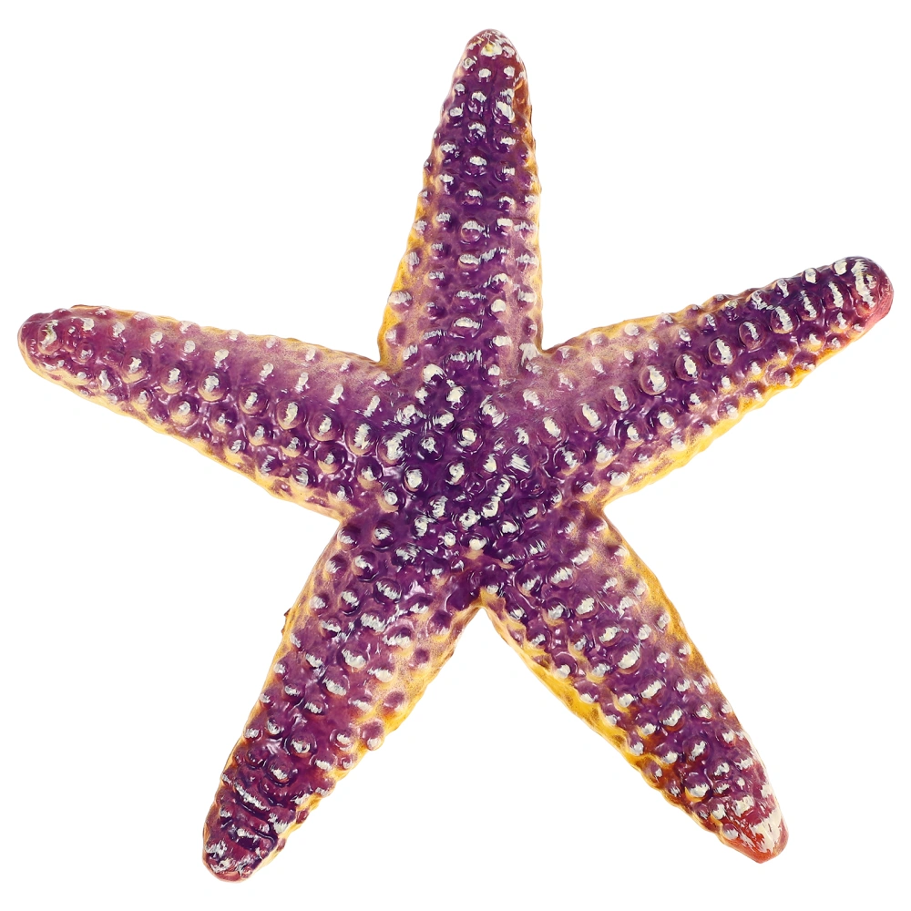 1pc Vivid Sea Star Model Funny Kid Cognitive Toy Educational Toy Desktop Decor