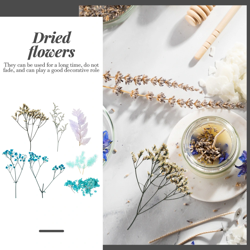 1 Set Dried Flower Material Natural Art Craft DIY Materials DIY Accessories
