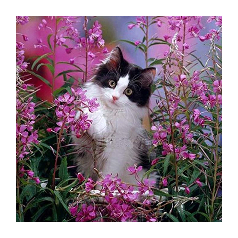 5D Unframed Diamond Embroidery Painting of Black and White Cat in Flowers Cross Stitch Printing Crafts