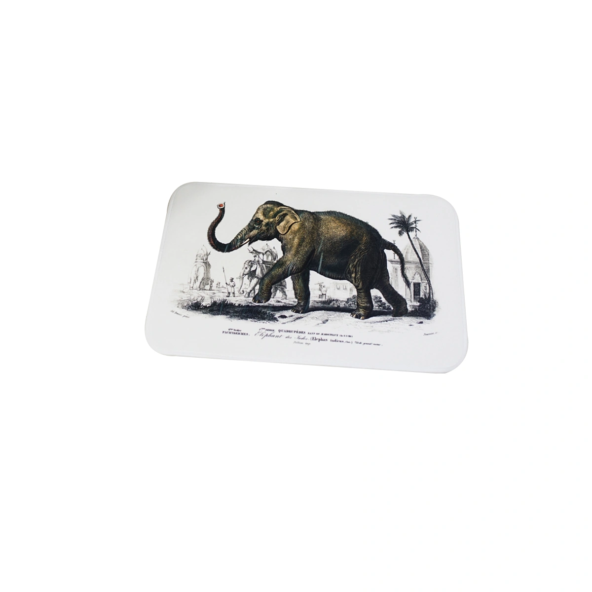 Pattern Bathmat Non-slip Bath Floor Mat Rugs Bathroom Kitchen Water-absorbing Carpet (Elephant)