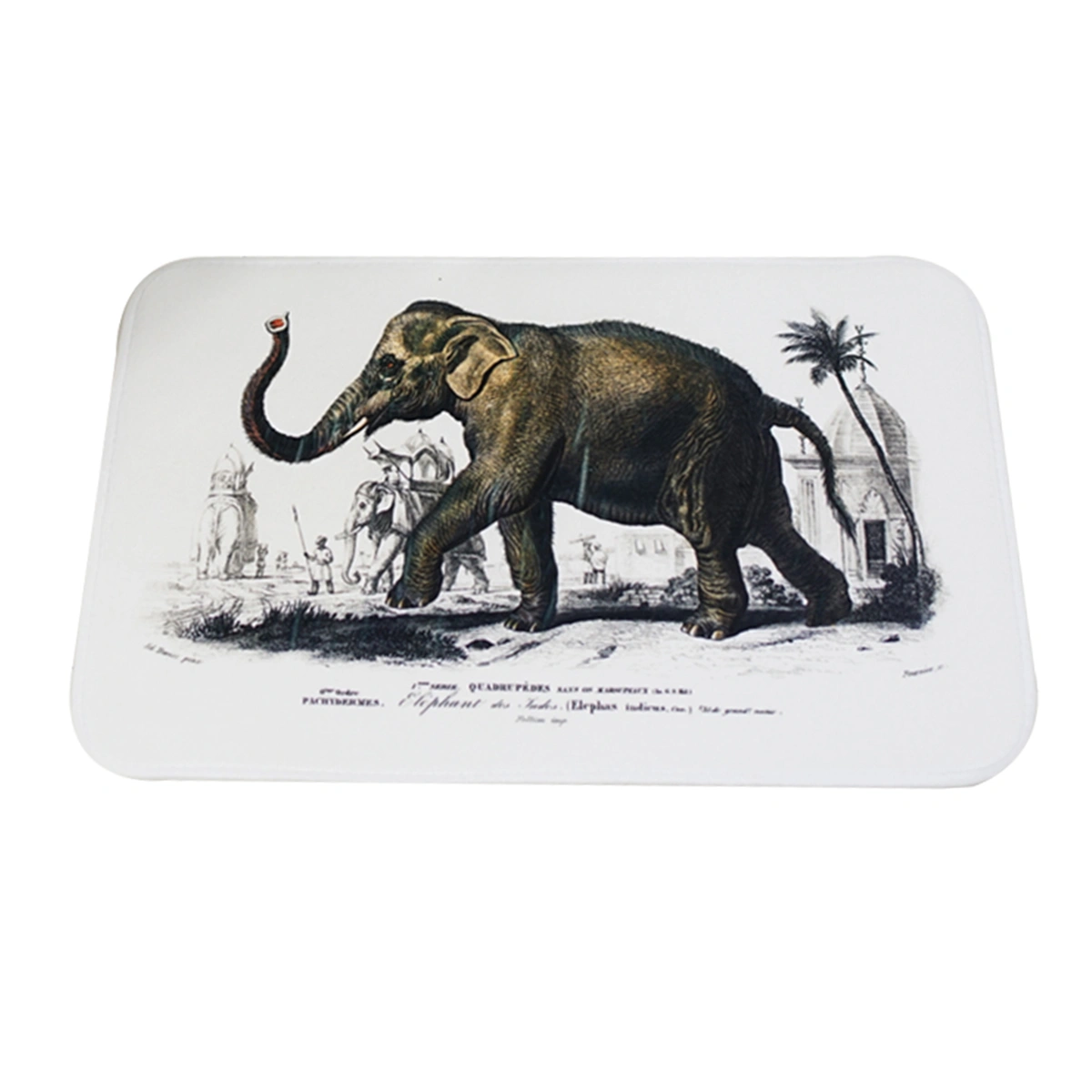 Pattern Bathmat Non-slip Bath Floor Mat Rugs Bathroom Kitchen Water-absorbing Carpet (Elephant)
