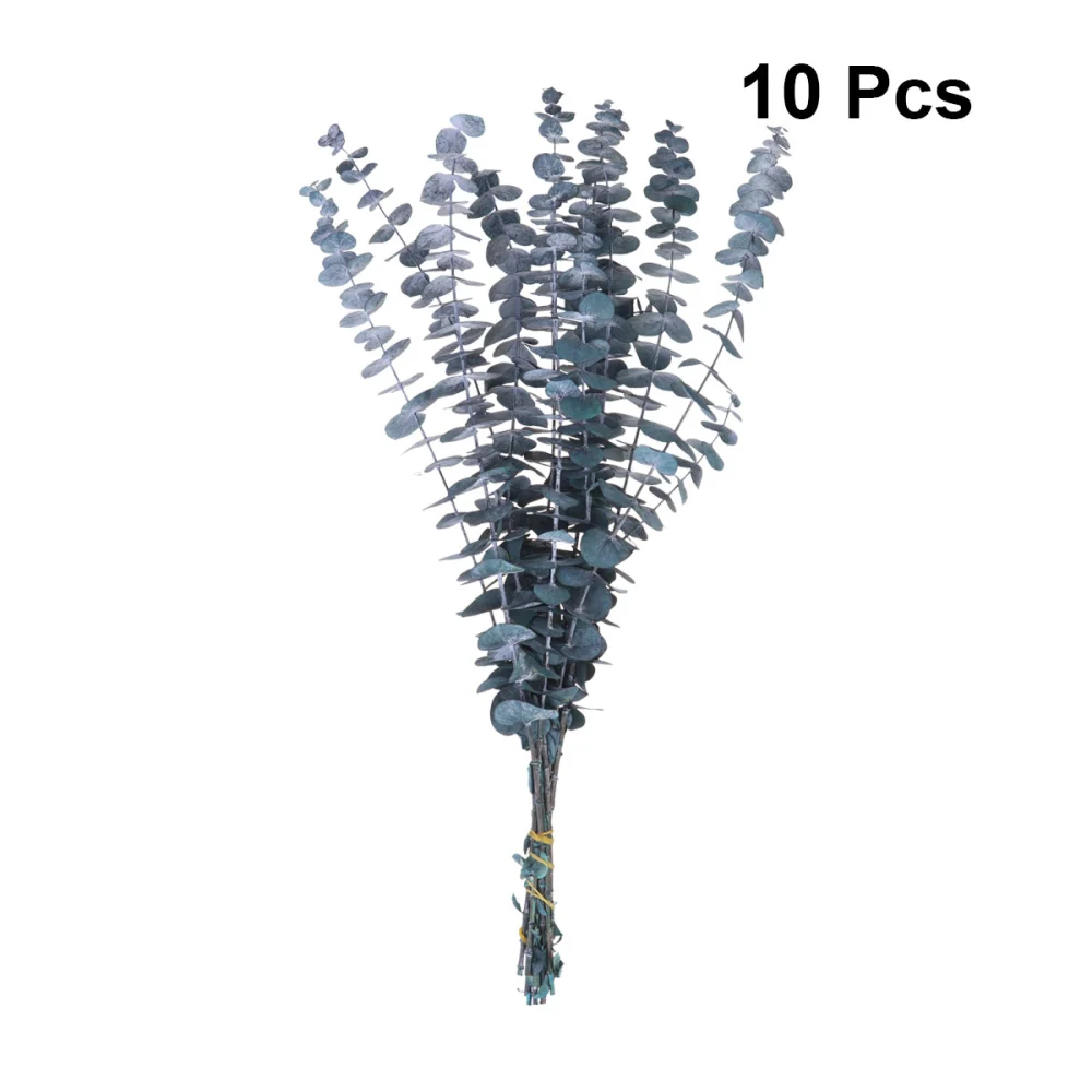 10pcs 30-45cm Dried Eucalyptus Green Leaves Photography Props Home Adornment Desktop Decroation (Blue-green)