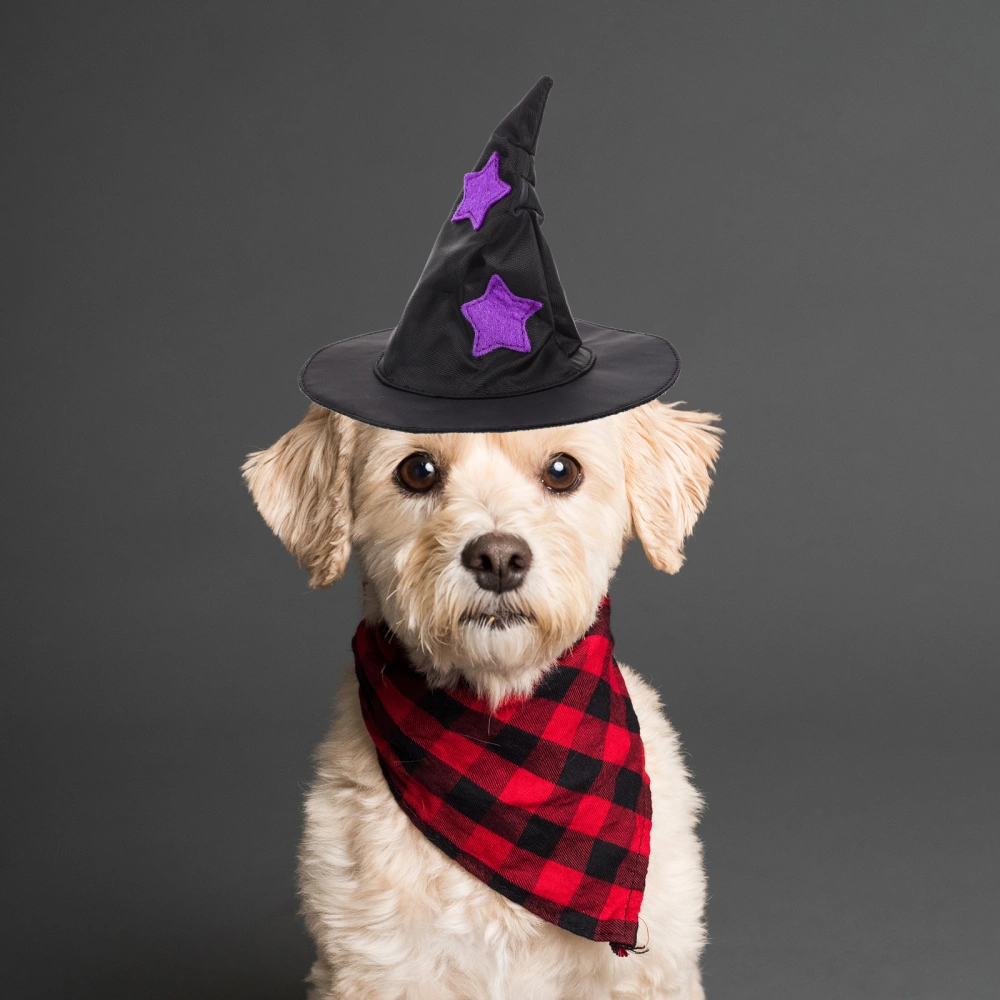 Witch Hat Dog Hat Halloween Pet Costume Witch Hat Decorative Cat Witch Hat