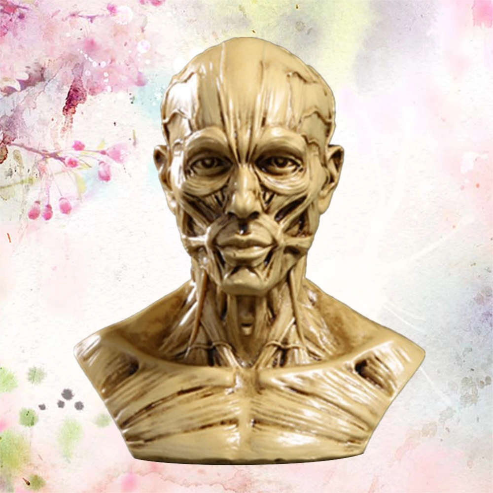 1PC Resin Half Human Body Model Decor Medical Human Skull Model Adornment Creative Half Human Body Decoration Delicate Human Skull Model Craft Chic Half Human Body Model Figurine Decor for Office Bar (Beige)