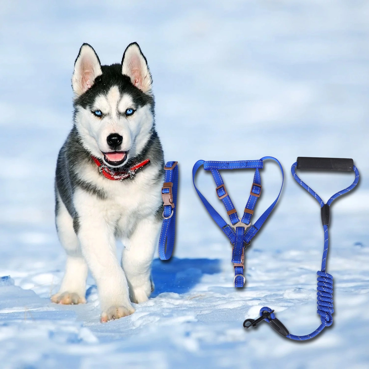 Dog Harness Durable Dog Leash Adjustable Dog Collar Anti-Twist Dog Leash Harness for Small Medium Dogs Size M (Blue)