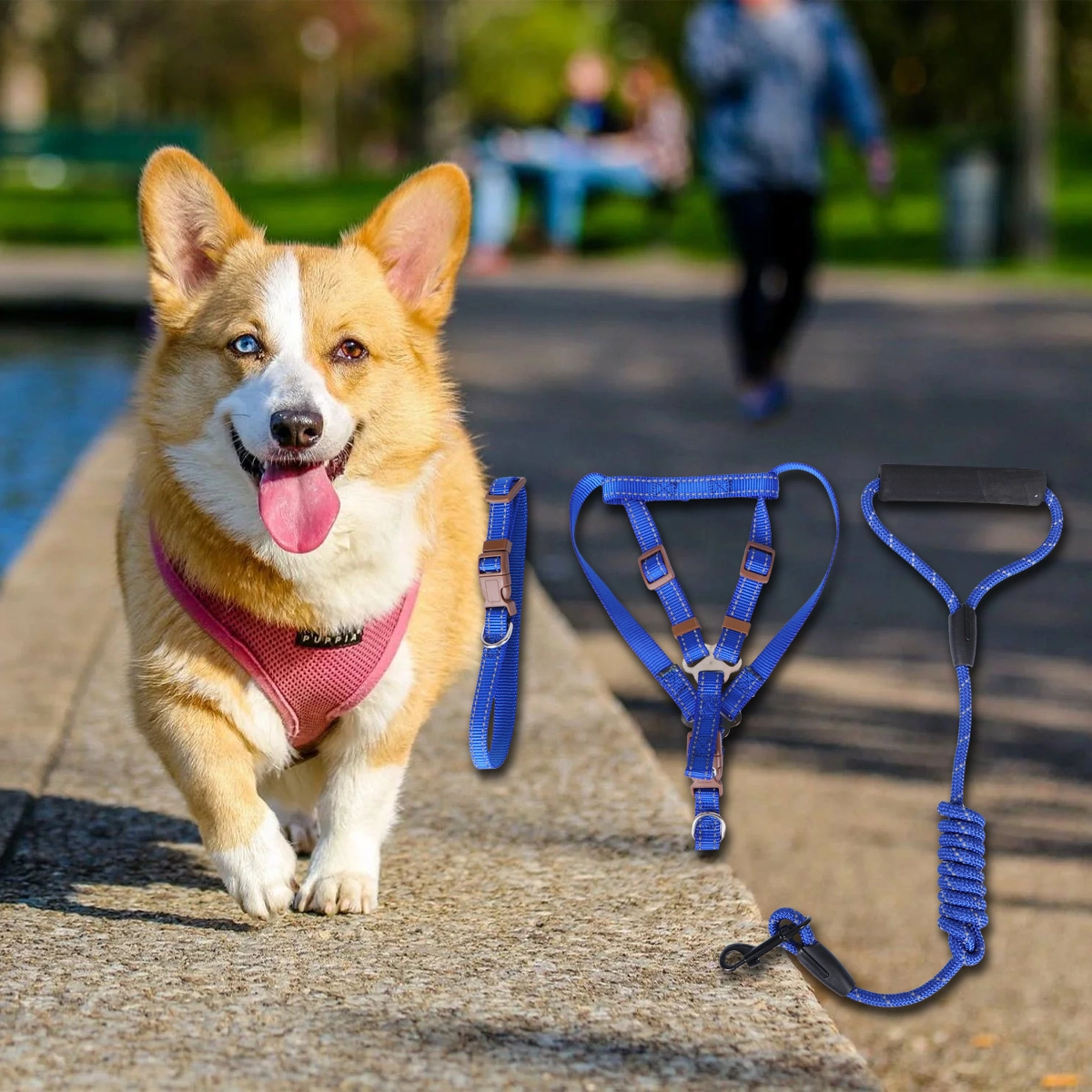 Dog Harness Durable Dog Leash Adjustable Dog Collar Anti-Twist Dog Leash Harness for Small Medium Dogs Size M (Blue)