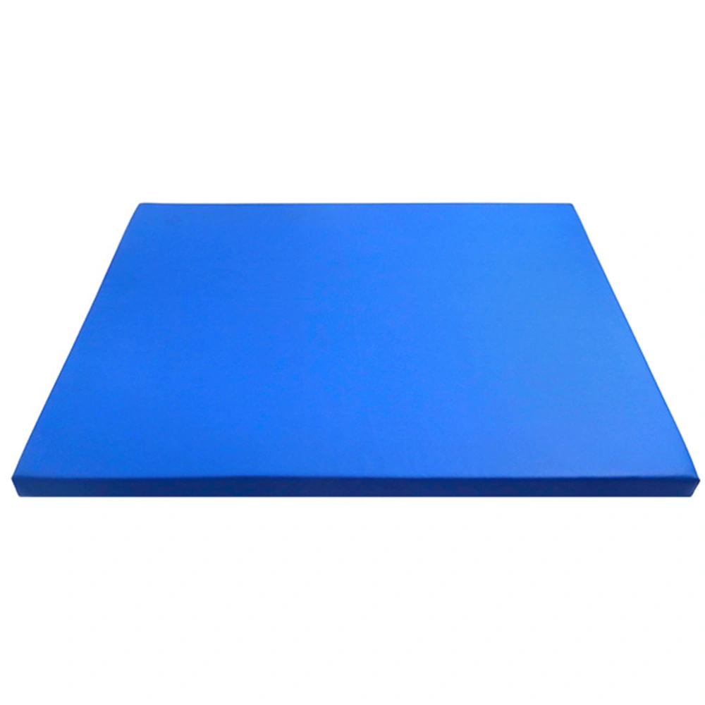 Sole Disinfecting Mat Sanitizing Floor Mat Sponge Entrance Mat Disinfection Doormat Entry Rug Size S Blue