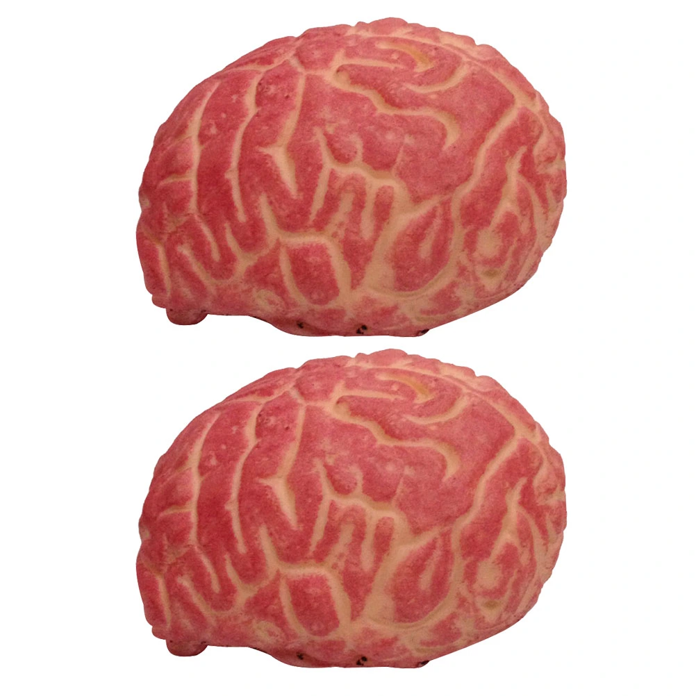 2pcs Scary Bloody Simulation Brain Realistic Organ Prank Prop Halloween Party Haunted House Decorations