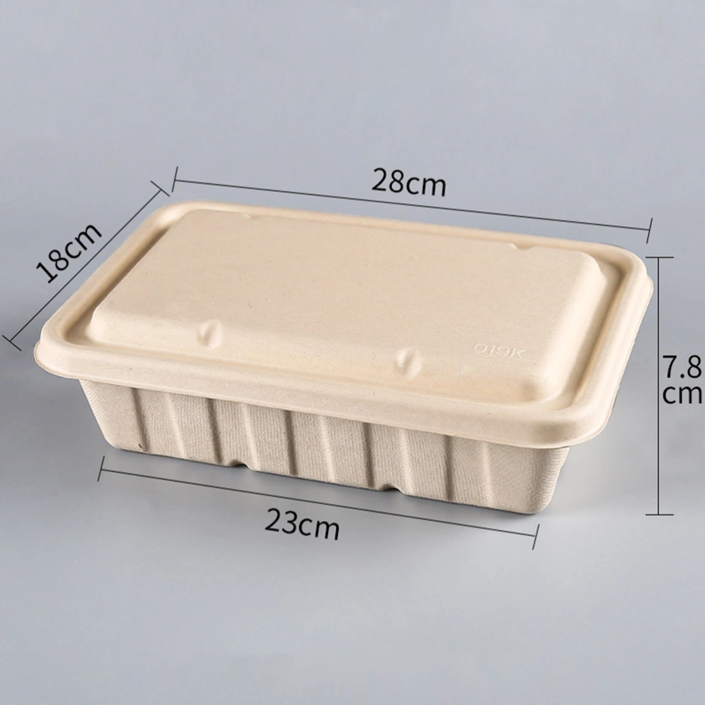 10 Pcs Degradable Pulp Box Bread Packing Box Portable Food Storage Boxes