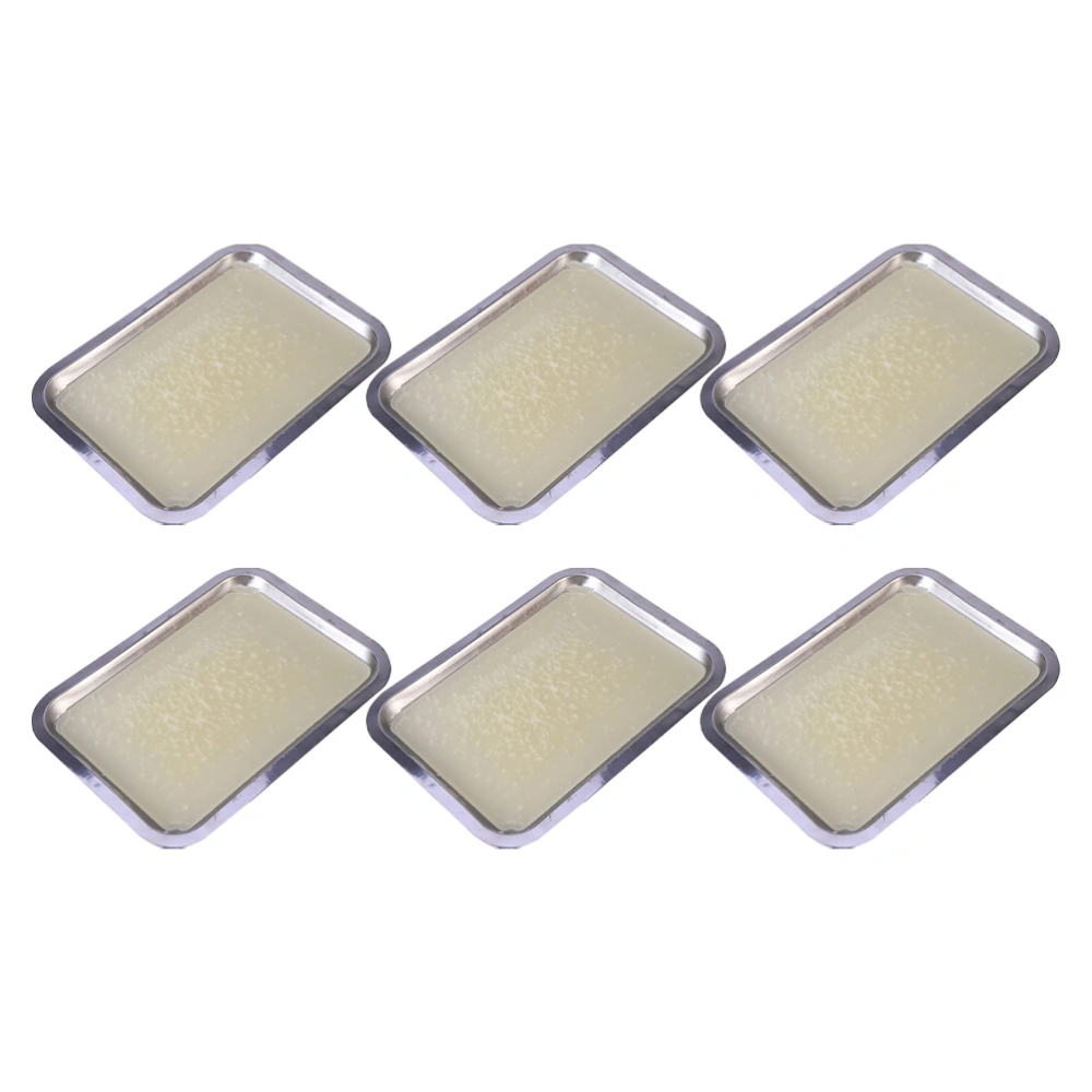 6pcs Wax Dissection Tray Biological Labs Equipment for Junior Senior School