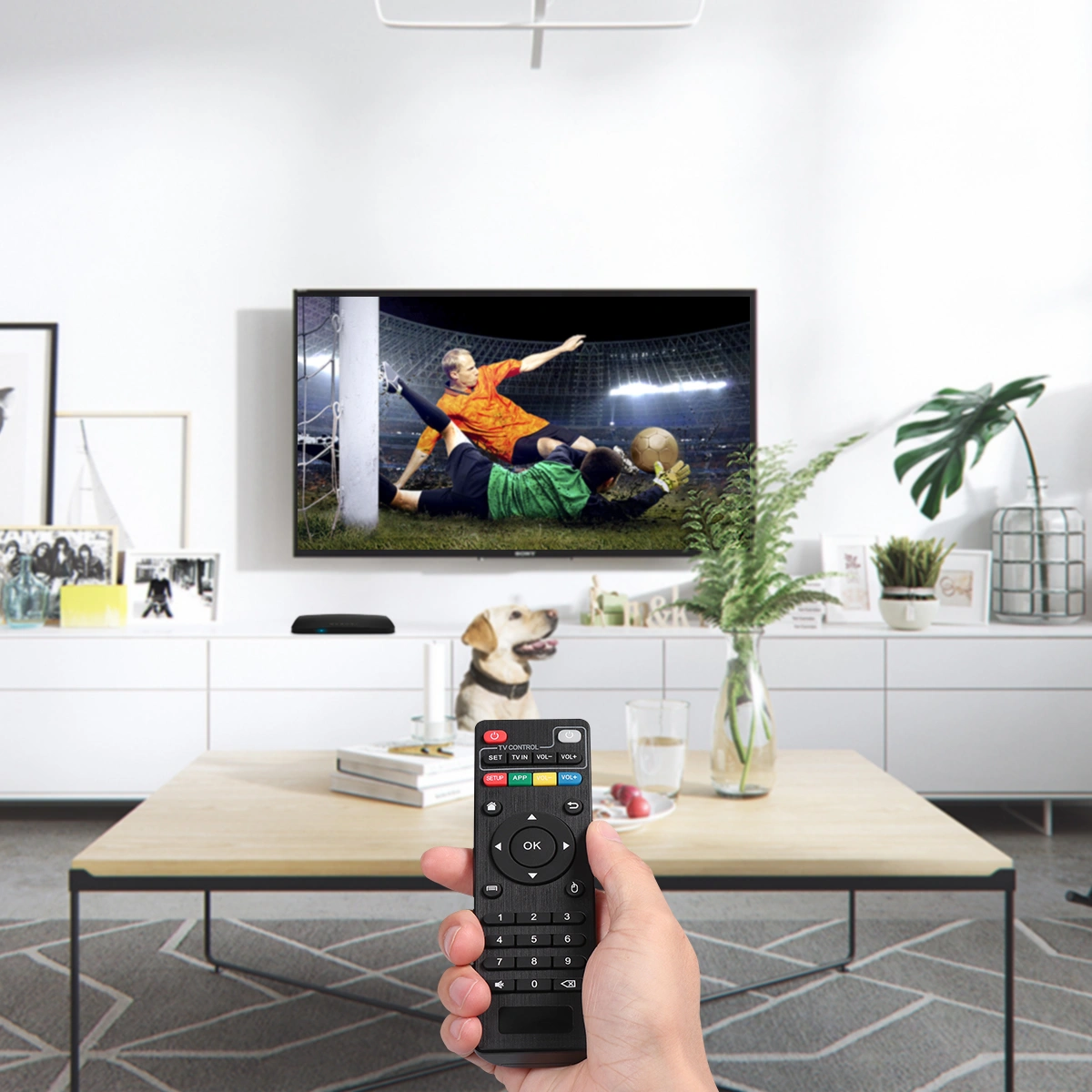 Healifty Universal PC Remote Controller for MXQ-4K MXQ-PRO Television STB TV Box IPTV