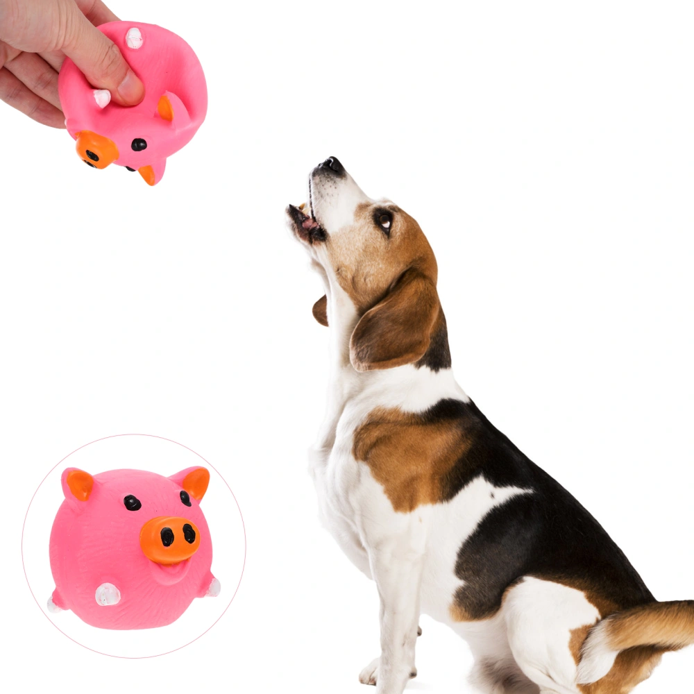 Puppy Bite-Resistant Toy Indoor Dog Chew Toy Portable Pet Training Ball