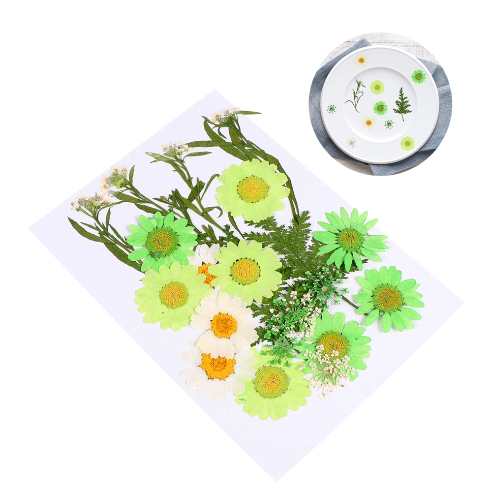 23pcs Handmade DIY Dried Flowers Mixed Flowers Material Pressed Real Flower Plants Specimen (7 Flower Types)